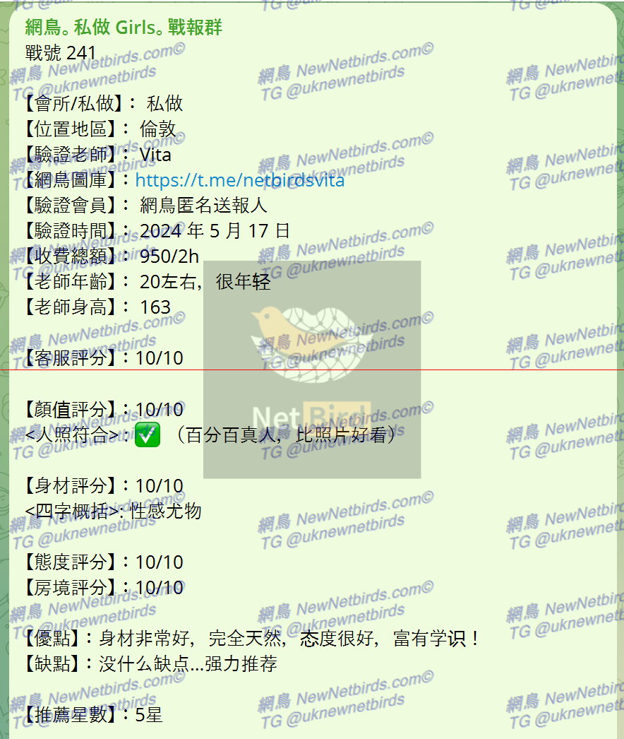 戰號 241 2.png